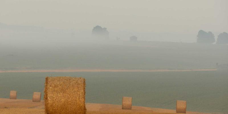 AITM Band59：当电子脉冲撞击摇滚灵魂，重塑乐队文化的未来之声