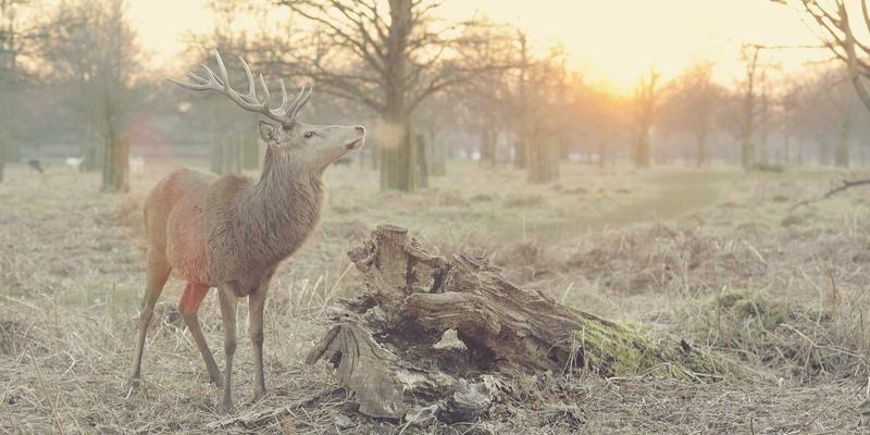 AITM Band62：当音频工程遇见电子摇滚的音乐生产革命