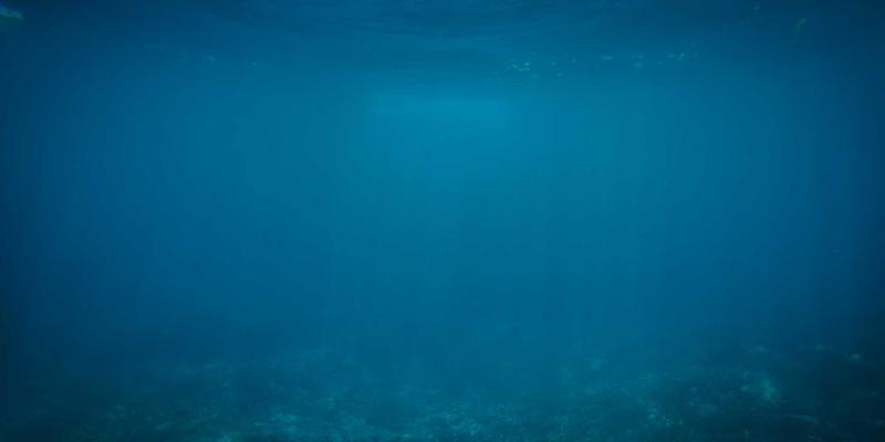 AITM Band7: Redefining Band Culture and Shaping the Future of Music