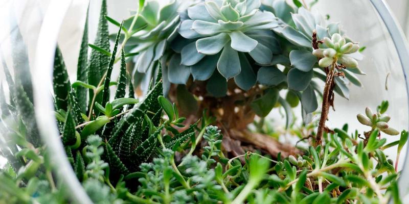 AITM Band与电子摇滚革命：AI音乐创作的版权归属与艺术家原创性边界探讨