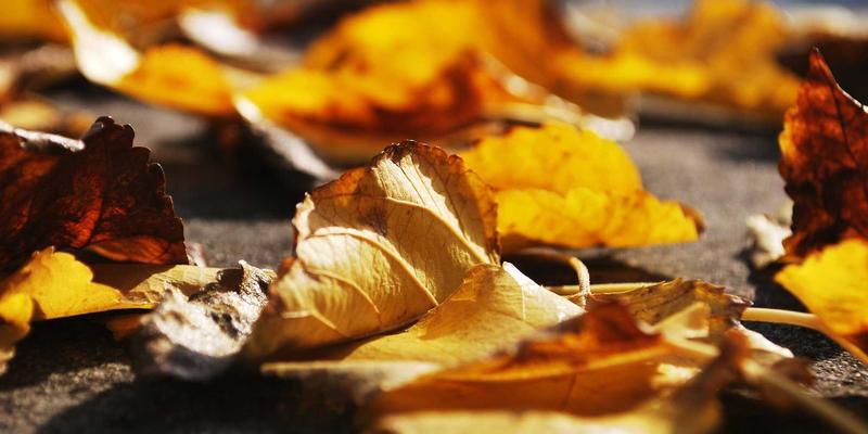 AITM Band分布式音频流技术：重塑全球低延迟同步直播的音乐制作与演出体验