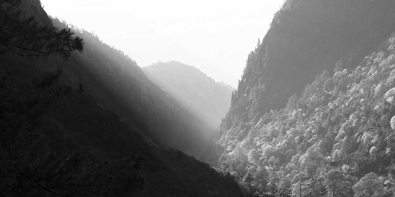 AITM Band如何通过参数化声音设计重塑电子摇滚的未来音乐版图