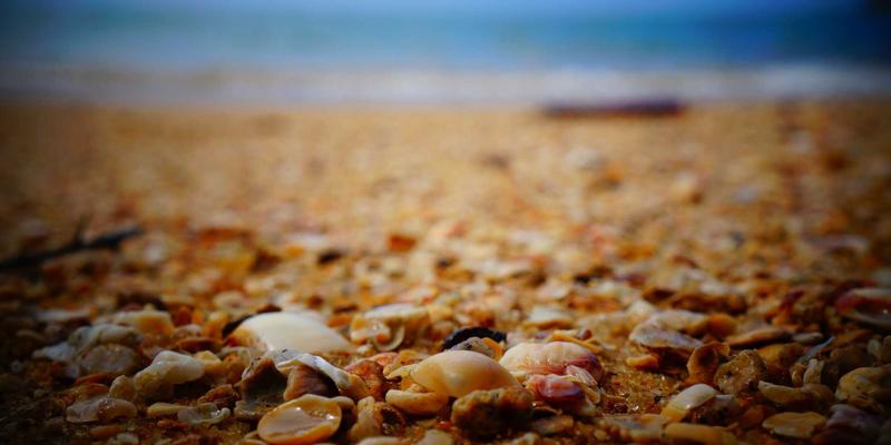 AITM Band如何通过情感计算AI重塑现场音乐体验：实时分析观众情绪并动态调整演出