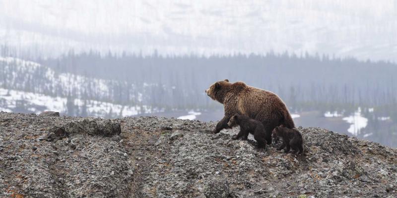 AITM Band：电子摇滚的现场革命与未来音乐图景