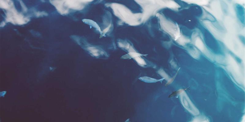 AITM Band的硬件革命：智能乐器如何重塑电子摇滚的音乐制作与音频工程