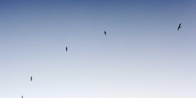 AITM Band终极攻略：如何沉浸式体验他们的电子摇滚现场魅力