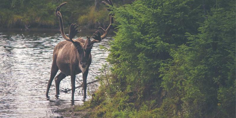 AITM Band进阶之路：从技术锤炼到文化塑造的音频工程实践