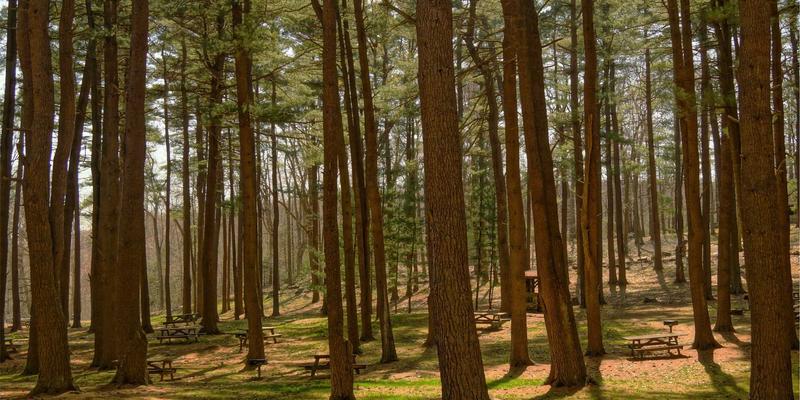 Future Music的版权迷局：从AITM Band看AI音乐人的法律人格与音频工程挑战